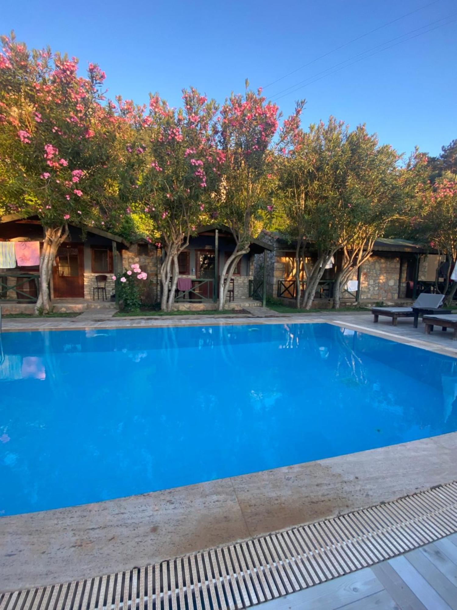 Montenegro Motel Фаралия Экстерьер фото